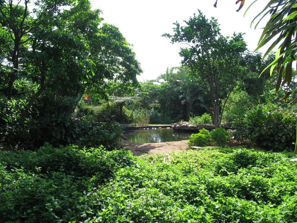 בליטו Comfort House Bed & Breakfast מראה חיצוני תמונה